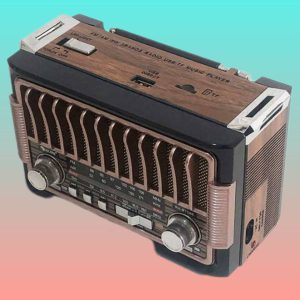 اسپیکر و رادیو قابل حمل بلوتوثی RX-BT086(کیفیت تضمینی)